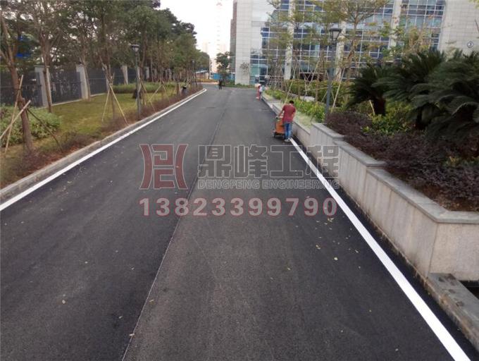 深圳坑梓理邦园区道路标线工程