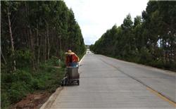 省S288湖硇线东海岛调埠至东南码头标线施工|道路划线|热熔标线|划线施工队|划线价格方案|深圳鼎峰交通工程有限公司